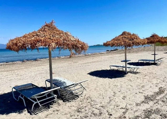 Apartament Alexandra 3 Lefkimmi (Corfu)